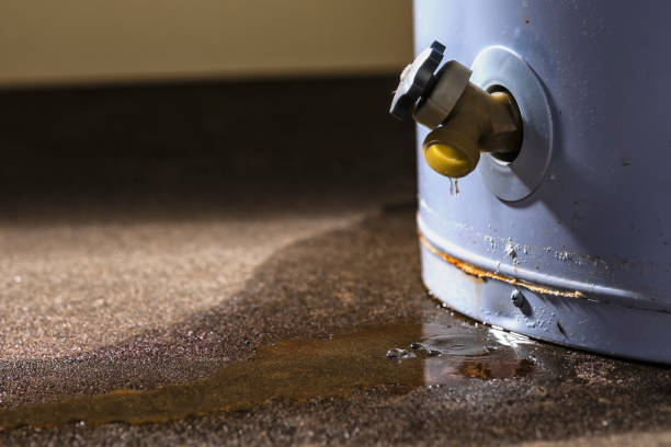  Eaton, IN Water damage restoration Pros