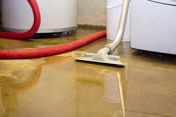 Best Professional water damage repair  in Eaton, IN
